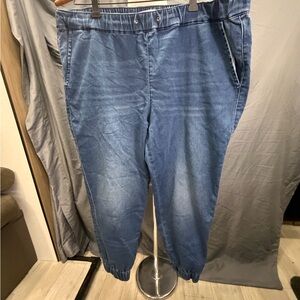 Skinnygirl Relaxed Blue Women's Denim Joggers